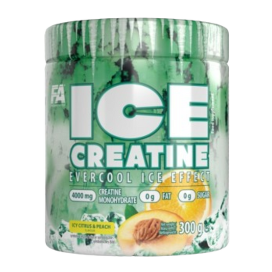 FA ICE Creatine 300 g (Kreatinas) - FEN sport nutrition