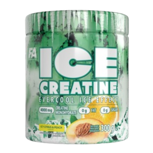 FA Ice Creatine 300 G (креатин)